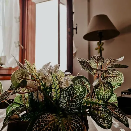 Nyaraló La Casetta In Montagna *