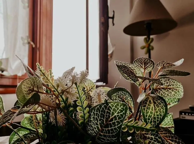 Casa vacanze La Casetta In Montagna *